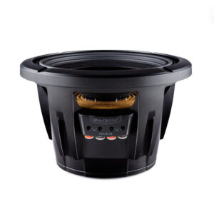Alpine R2-W10D4 25 cm (10-Zoll) R-Series Subwoofer mit 4 Ohm Doppel-Schwingspule – R2-W10D4-03 CPII